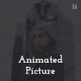 Animated Picture