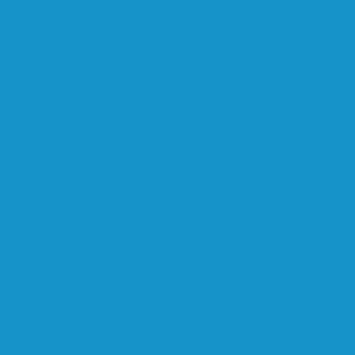 Blue Modern Photography Art Logo Example
