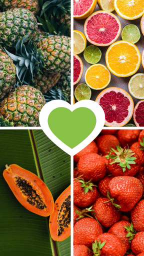 Teal Circle Photo Grid Plain Collage for you Social Media Campaign
