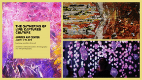 Invitation Collage Exhibit Event Program