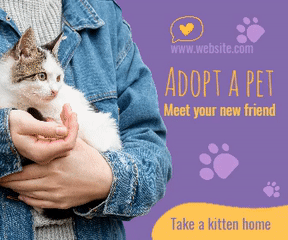 Adopt Cat Pet