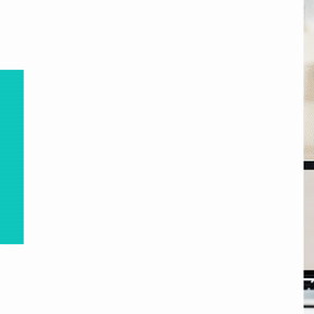 Design Social Media Visual Template