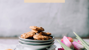 Special Discount Template - #business #sales
