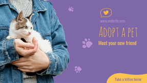Adopt Cat Pet
