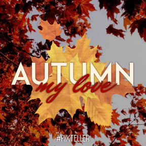 #autumn #quote #poster #fall 