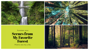 Green Nature Photo Book Collage Easy to Use and Customize