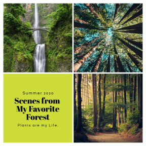 Green Nature Photo Book Collage Easy to Use and Customize