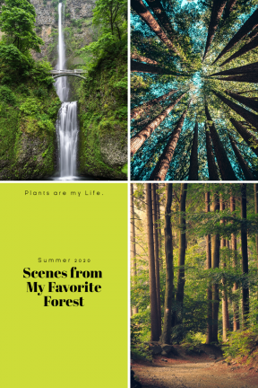 Green Nature Photo Book Collage Easy to Use and Customize