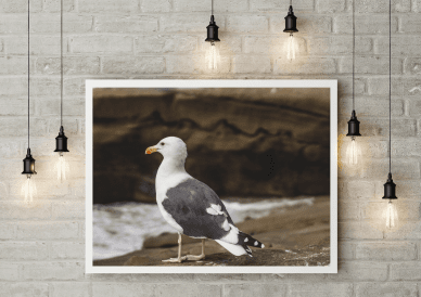 #mockup #inspiration #life #photo #image #frame