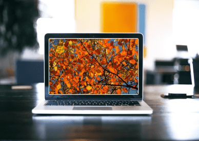 #mockup #inspiration #life #photo #image #apple