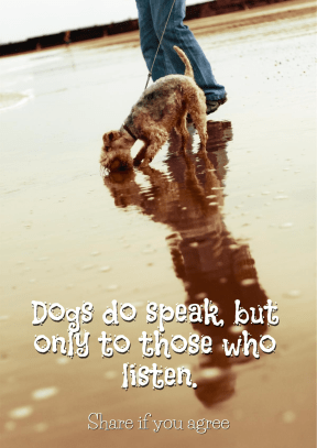 Dogs #poster #quote #funny