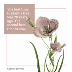 #poster #quote