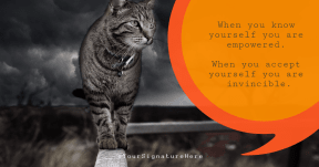 invincible kitty cat #poster #funny