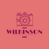 Logo Example