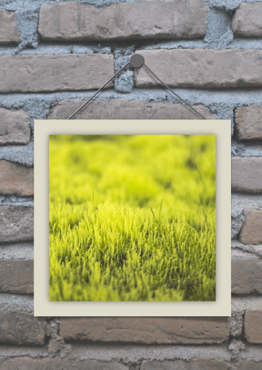 #mockup #frame #image #avatar