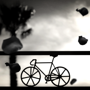 Photo Overlay Design - #PhotoOverlay #PhotoFilter #Photography #wheel #petal #white #and #sign #font #product