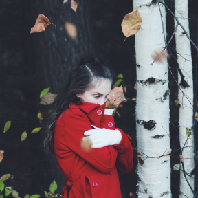 Photo Overlay Design - #PhotoOverlay #PhotoFilter #Photography #plant #girl #winter #red #AutumnLeaves #OverlayImage