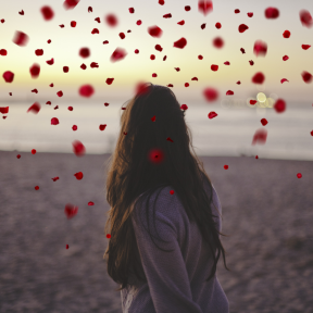 Photo Overlay Design - #PhotoOverlay #PhotoFilter #Photography #morning #sky #text #Overlays #Overlay #RedRosePetals #petal #vacation #font #OverlayImage