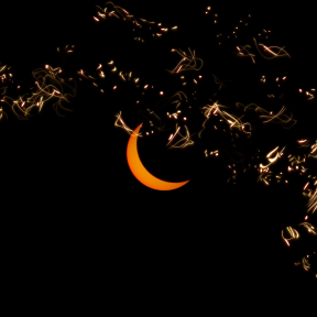 Photo Overlay Design - #PhotoOverlay #PhotoFilter #Photography #sky #crescent #moon #celestial #OverlayPhoto