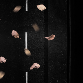 Photo Overlay Design - #PhotoOverlay #PhotoFilter #Photography #atmosphere #black #Overlays #photography #darkness #light #AutumnLeaves #OverlayImage #phenomenon #line