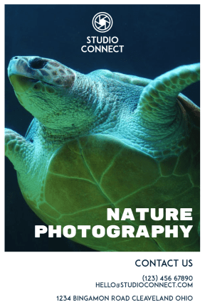 Photography Studio #studio #nature #camera #photography #art #business #template