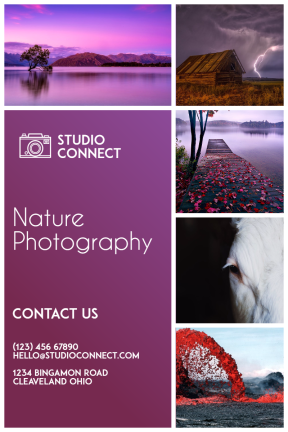Photography Studio #studio #nature #camera #photography #art #business #template