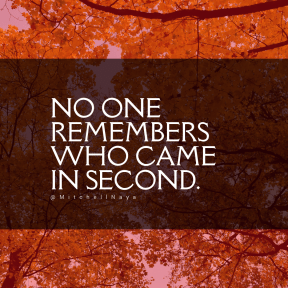 Square design layout - #Saying #Quote #Wording #forest #maidenhair #tree #temperate #deciduous #leaf #broadleaf #sky #and