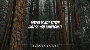 Wallpaper design layout - #Wallpaper #Wording #Saying #Quote #ecosystem #forest #trunk #wood #spruce